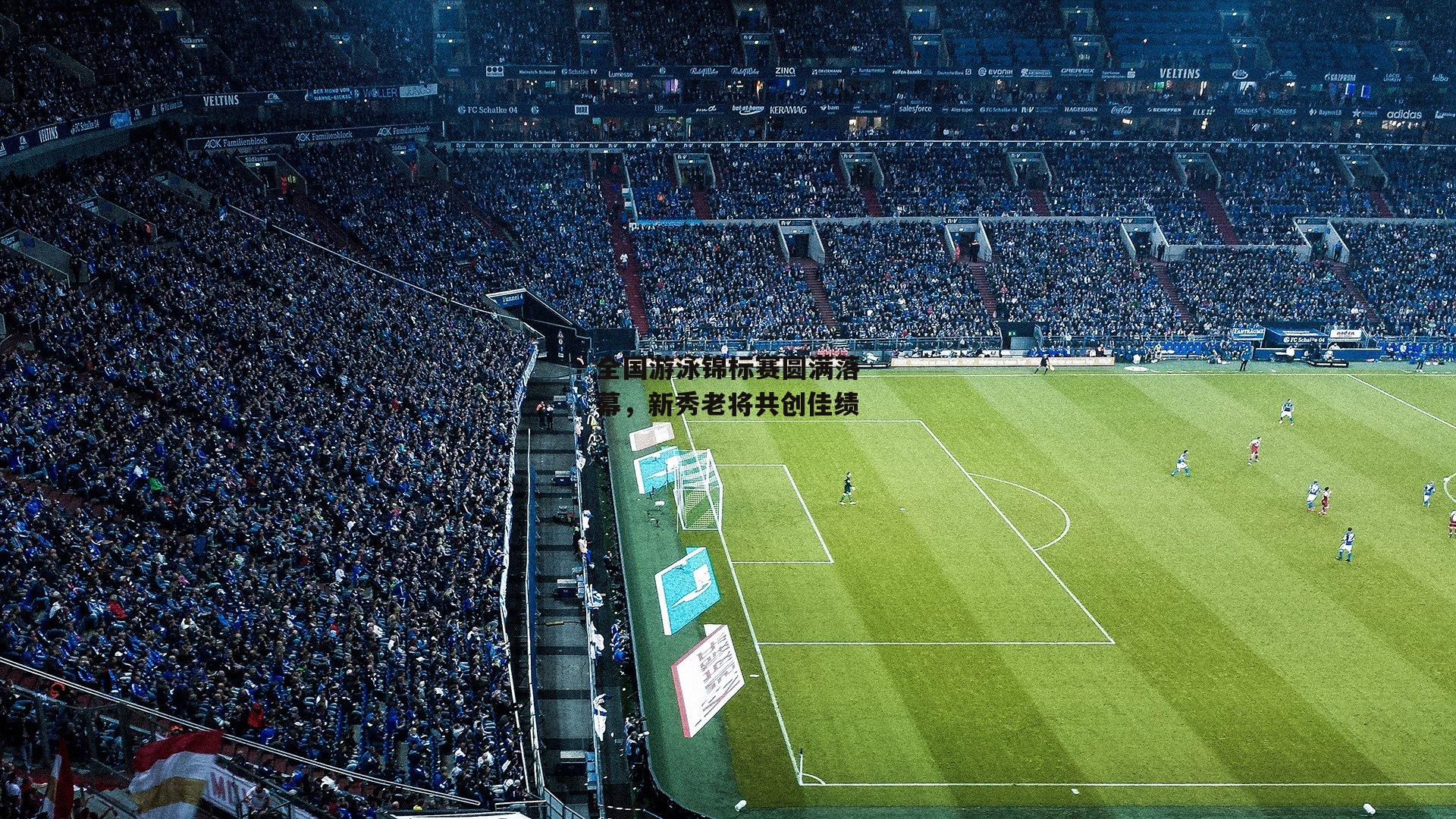 全国游泳锦标赛圆满落幕,新秀老将共创佳绩