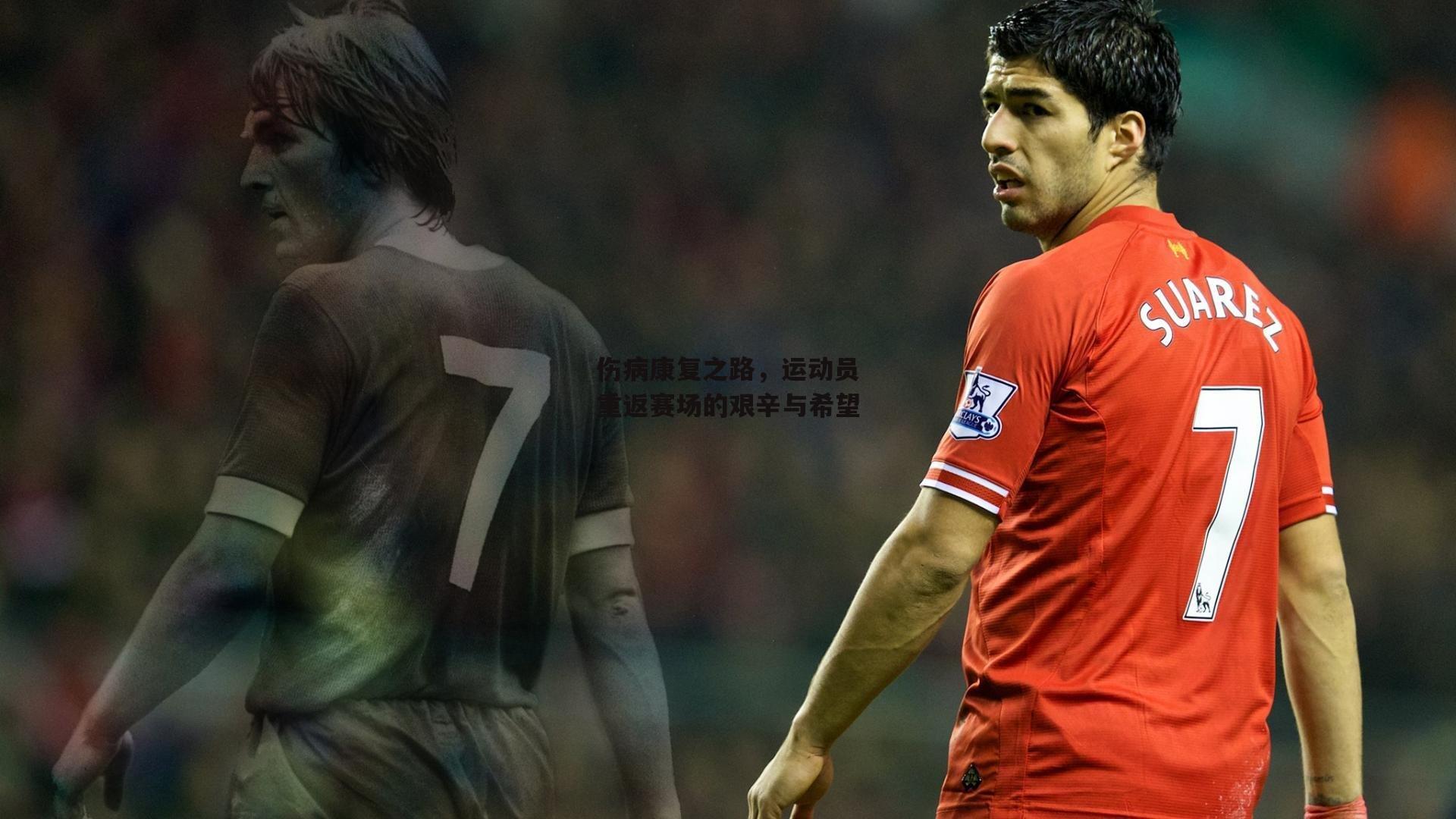 伤病康复之路,运动员重返赛场的艰辛与希望